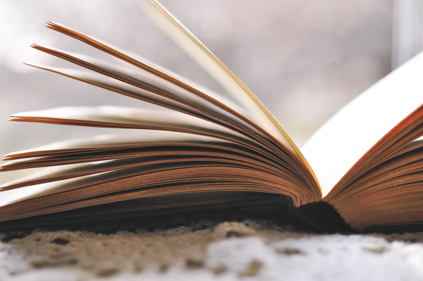 An open book sitting on top of a warm carpet, soft and intimate